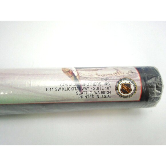 Vintage Detroit Red Wings NHL Original 1997-98 Stanley Cup Champs Posters Lot x2 - Picture 3 of 10